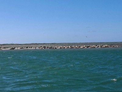 Apartment 6 Personen Ferienhaus in Thyborøn-By Traum - Outdoor photo 27