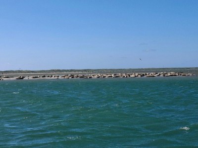 Apartment 4 Personen Ferienhaus in Thyborøn-By Traum - Outdoor photo 12