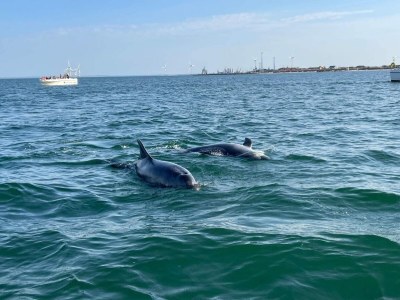 Apartment 4 Personen Ferienhaus in Thyborøn-By Traum - Outdoor photo 40