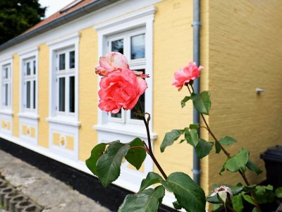 Holiday house Scenic Retreat with Fireplace & Terrace - Outdoor photo 3