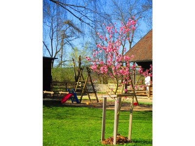 Holiday house Försterhaus - Outdoor photo 5