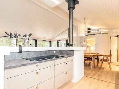 Holiday house 12 Personen Ferienhaus in Saltum-By Traum - Outdoor photo 28
