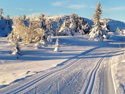 Holiday house 6 person holiday home in Svingvoll - Outdoor photo 13