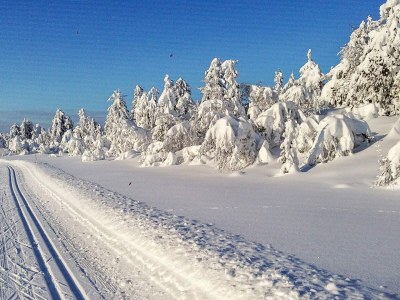 Holiday house 6 person holiday home in Svingvoll - Outdoor photo 14