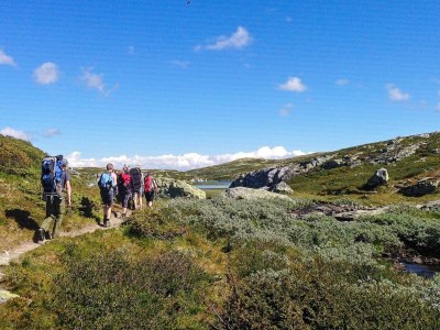 Holiday house 6 person holiday home in Svingvoll - Outdoor photo 27