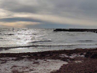 Holiday house 6 person holiday home in Rødby-By Traum - Outdoor photo 28