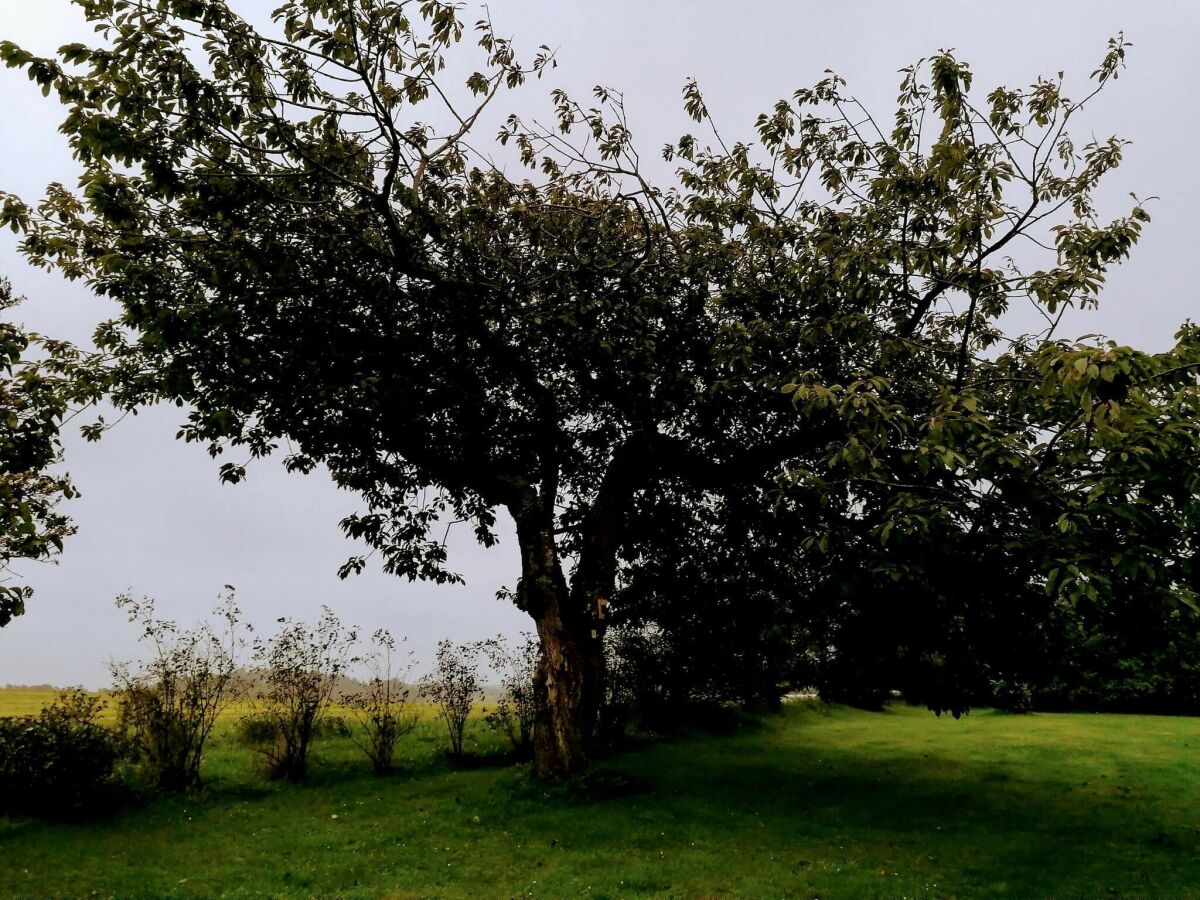 Holiday house Modern Retreat with Spa - By Traum Ferienwohnungen - Outdoor photo 4