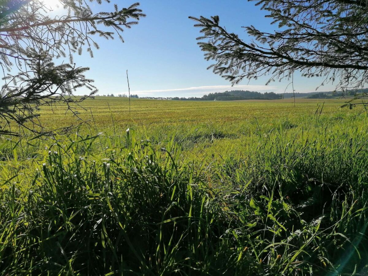 Holiday house Modern Retreat with Spa - By Traum Ferienwohnungen - Outdoor photo 5