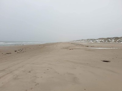 Holiday house Modern Retreat with Spa - By Traum Ferienwohnungen - Outdoor photo 30