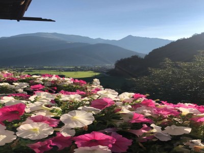 Apartment Wohnung in Mayrhofen nahe Skilift - Environment photo 23