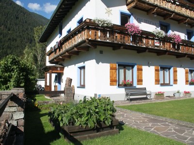 Apartment Wohnung in Bichlbach nahe Skigebiet - Outdoor photo 5