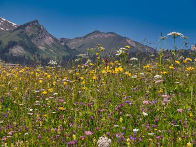 Apartment Wohnung in Bichlbach nahe Skigebiet - Environment photo 29