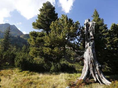 Chalet Chalet in Hohentauern am Skilift - Environment photo 30