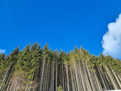 Chalet Chalet in Hohentauern am Skilift - Environment photo 37