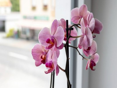 Apartment Apartment in Kötschach-Mauthen near ski area - Outdoor photo 21