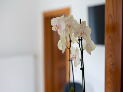 Apartment Apartment in Kötschach near Nassfeld Ski Area - Outdoor photo 23