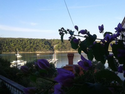 Apartment Villa Jagoda - Outdoor photo 18