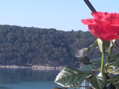 Apartment Villa Jagoda - Environment photo 38