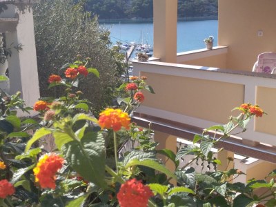 Apartment Villa Jagoda - Environment photo 41