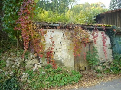 Holiday apartment "Waldhütte" - The little paradise - Environment photo 19