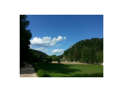 Holiday apartment "Waldhütte" - The little paradise - Environment photo 23