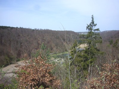 Holiday apartment "Waldhütte" - The little paradise - Environment photo 24