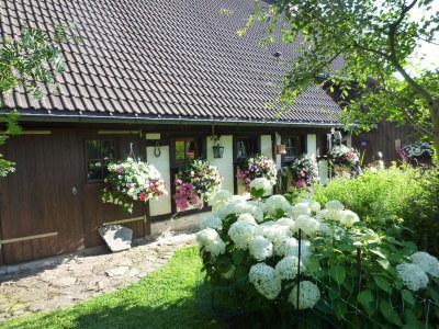 Holiday apartment Bauernhausteil - Outdoor photo 7