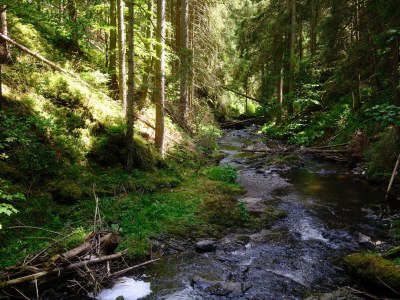 Holiday apartment Bauernhausteil - Environment photo 25