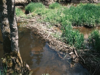 Holiday apartment Bauernhausteil - Environment photo 29