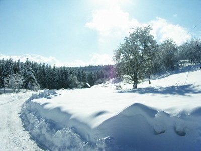 Holiday apartment Bauernhausteil - Environment photo 31