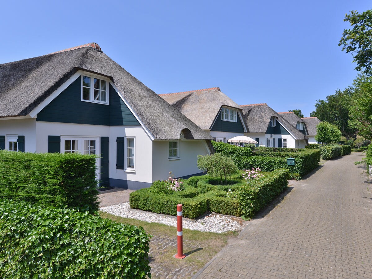 Holiday house Hoeve Duinzicht - Outdoor photo 3