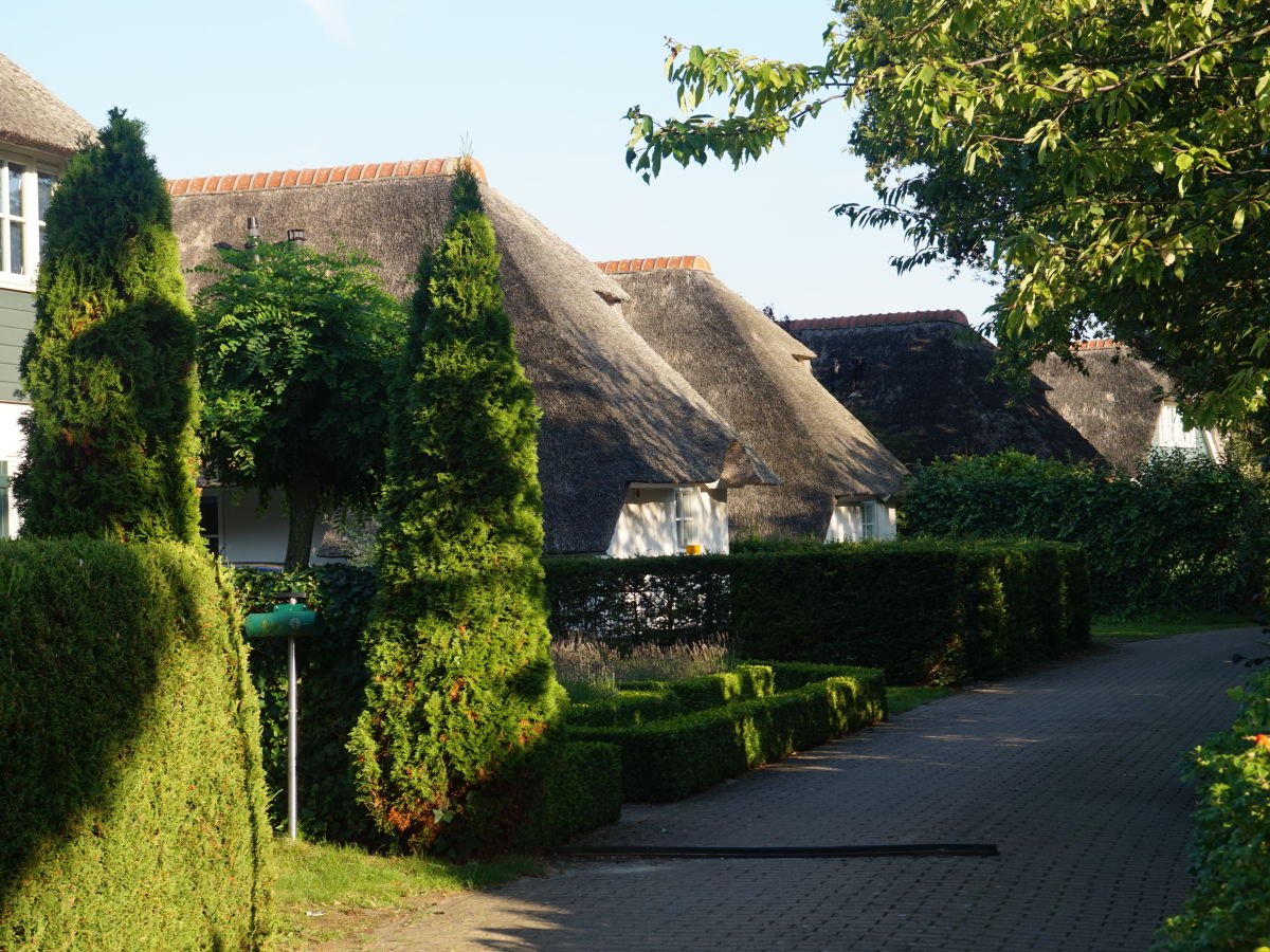 Holiday house Hoeve Duinzicht - Outdoor photo 5