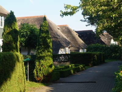 Holiday house Hoeve Duinzicht - Outdoor photo 5