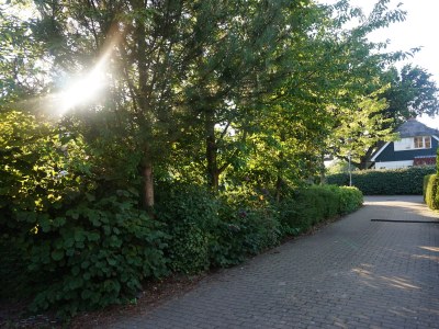 Holiday house Hoeve Duinzicht - Outdoor photo 7