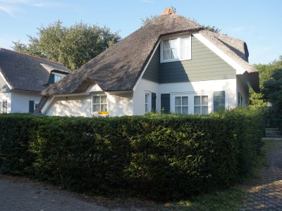 Holiday house Hoeve Duinzicht - Outdoor photo 10