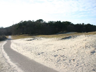 Holiday house Hoeve Duinzicht - Outdoor photo 21
