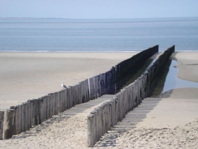 Holiday house Hoeve Duinzicht - Outdoor photo 22