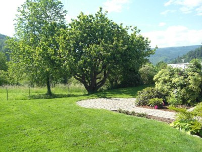 Holiday apartment Karnowski - Outdoor photo 4