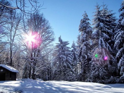 Holiday apartment Karnowski - Environment photo 32