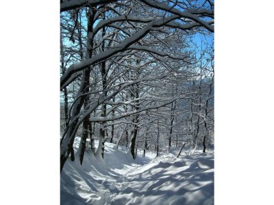 Holiday apartment Karnowski - Environment photo 34