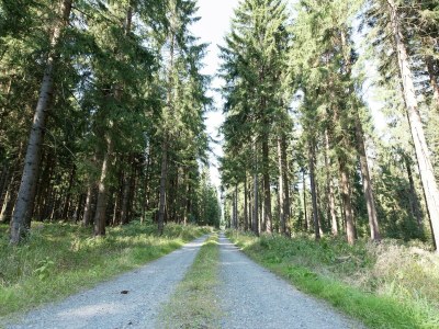 Apartment Rückzugsort mit Sauna, Whirlpool - Environment photo 34