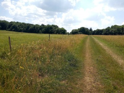 Holiday house Ferienhaus mit Naturgarten - Environment photo 26