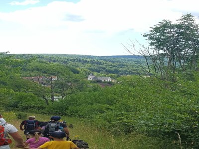 Holiday house Ferienhaus mit Naturgarten - Environment photo 28