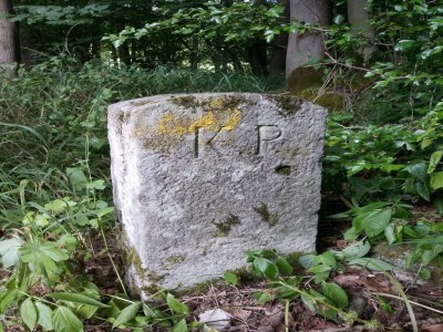 Holiday house Ferienhaus mit Naturgarten - Environment photo 29