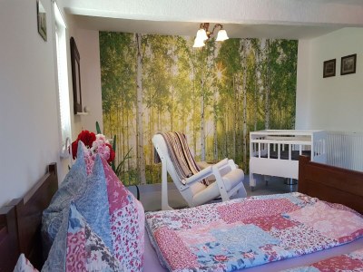 Holiday house Ferienhaus mit Naturgarten - Outdoor photo 33