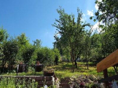 Holiday house Ferienhaus mit Naturgarten - Outdoor photo 36