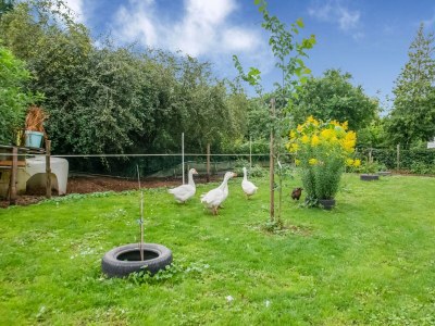 Farmhouse Sevenig Unser Familienbauernhof - Outdoor photo 6