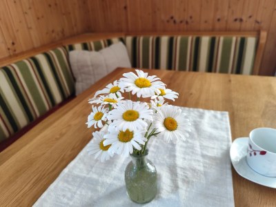 Holiday apartment Haus Schartner Rosi - Outdoor photo 7