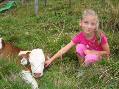 Holiday apartment Haus Schartner Rosi - Environment photo 36