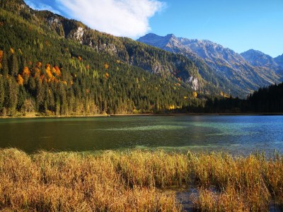 Holiday apartment Haus Schartner Rosi - Environment photo 39